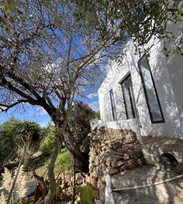 zijkant boom huis.jpeg